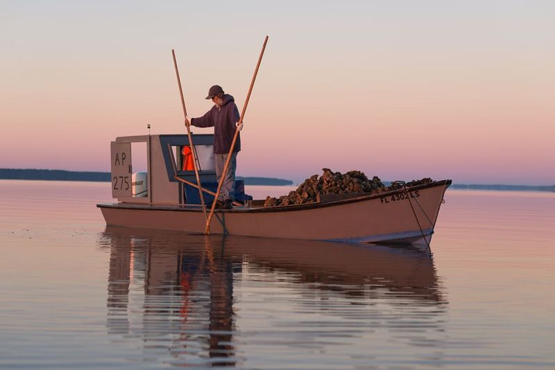 The Heart of Florida’s Oyster Industry
