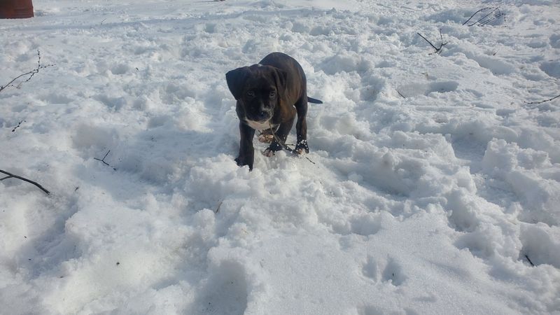 Ignoring Signs of Cold Stress