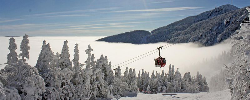 Balance your days with both high-energy and slow-drift-through-snow activities