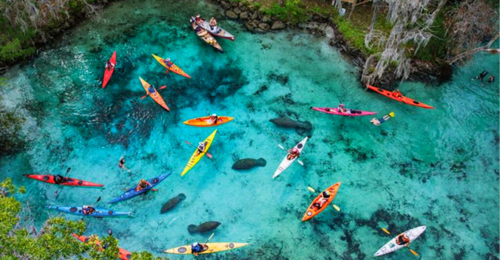 Parents Swear by These 15 Affordable Florida Getaway That All Ages Love