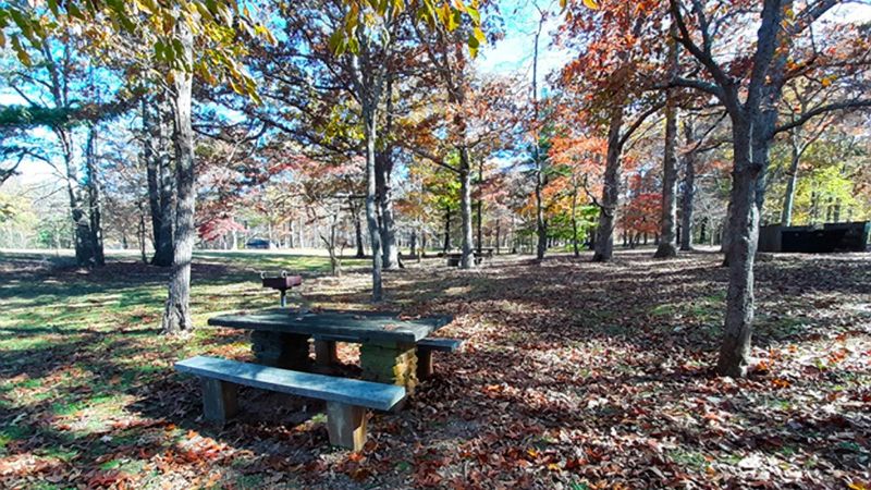 Smart View Recreation Area (MP 154.5, VA)