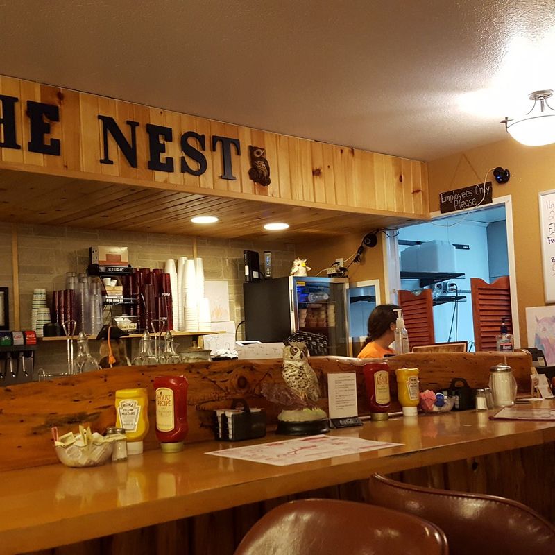 The Nest — Farwell