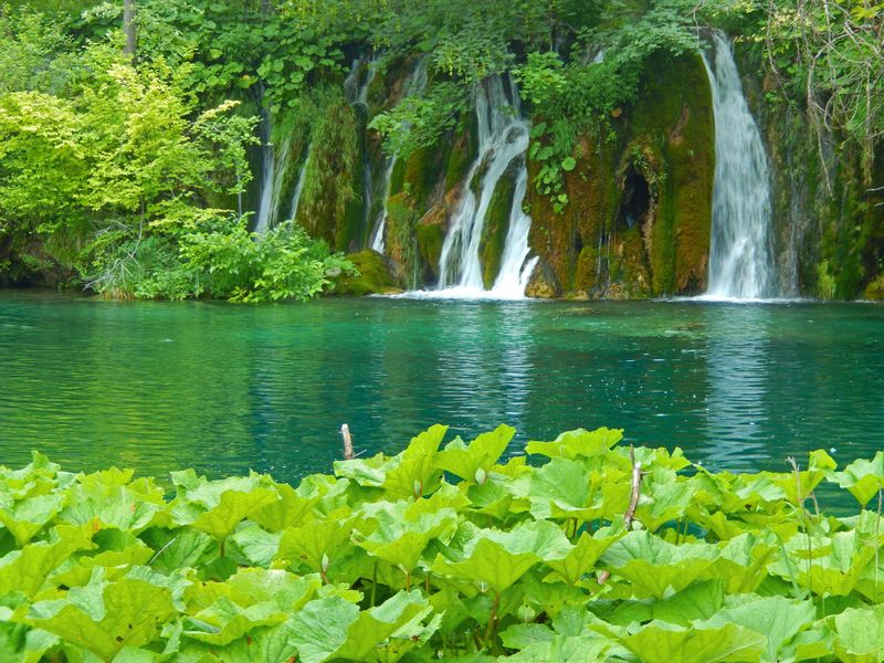Una National Park - Emerald Waters and Cascades