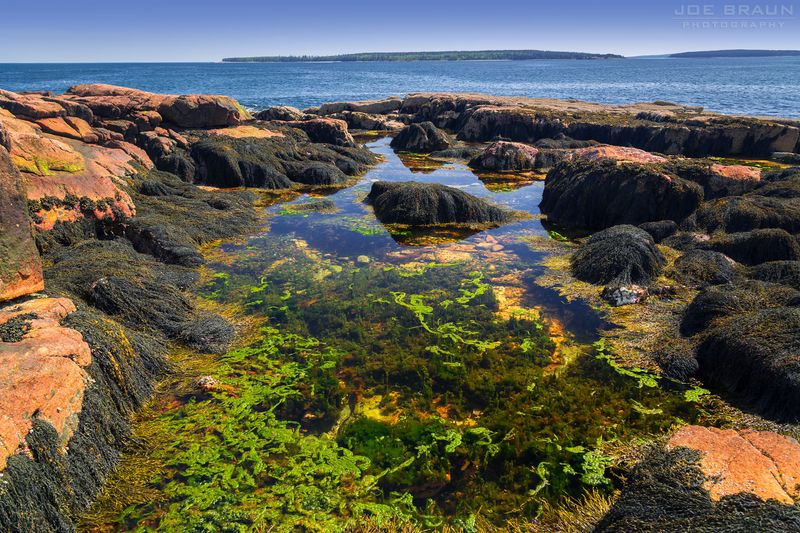 Wonderland & Ship Harbor, Acadia National Park, Maine
