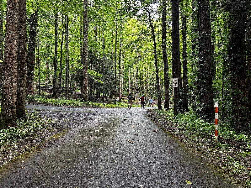Great Smoky Mountains National Park, Tennessee & North Carolina