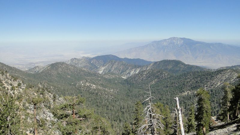 Choose from 81 Miles of Trail Options