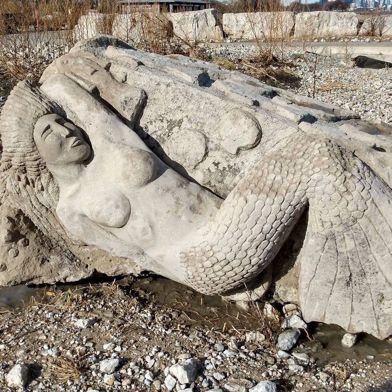 How to Find Her & Why It Matters