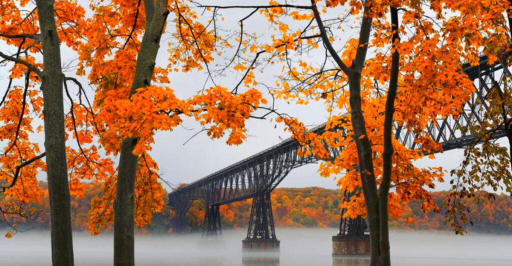 Priceline Says This New York Region Is America’s No. 1 Fall Foliage Destination for 2025