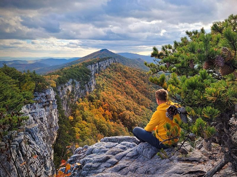 North Fork Mountain Trail to Chimney Top/High Knob (WV) — Endless ridge views