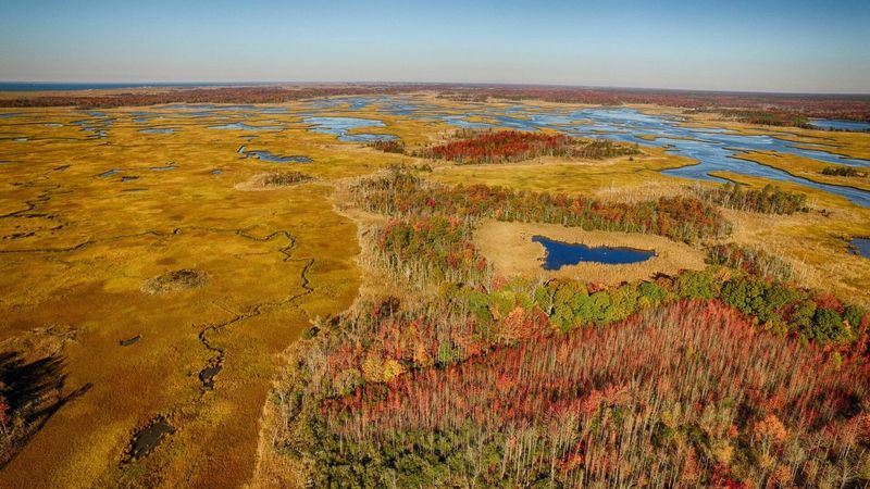 Glades Wildlife Refuge