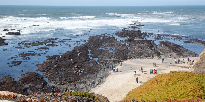 Fitzgerald Marine Reserve, Moss Beach, California