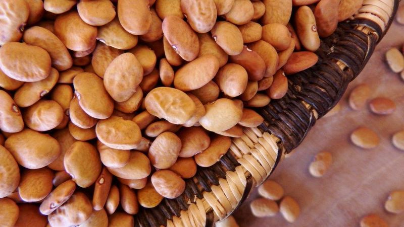 Tepary Beans