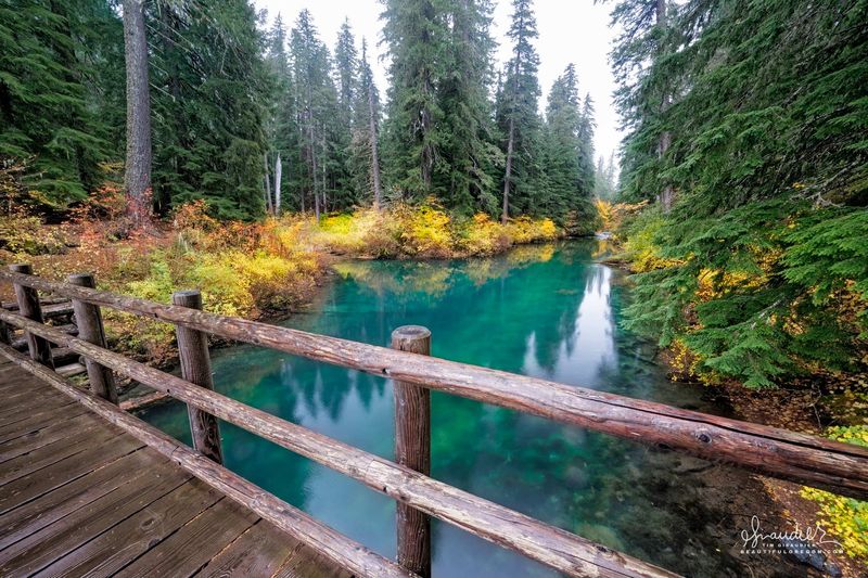 Clear Lake & the McKenzie Headwaters