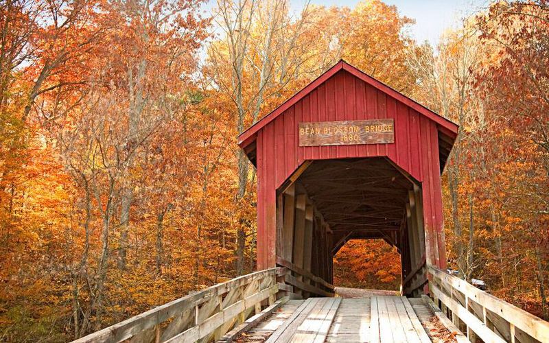 Indianapolis to Brown County State Park (Fall Foliage & Art Galleries)