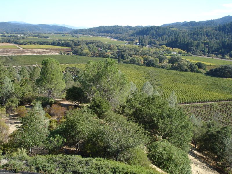 Calistoga (Napa Valley), California