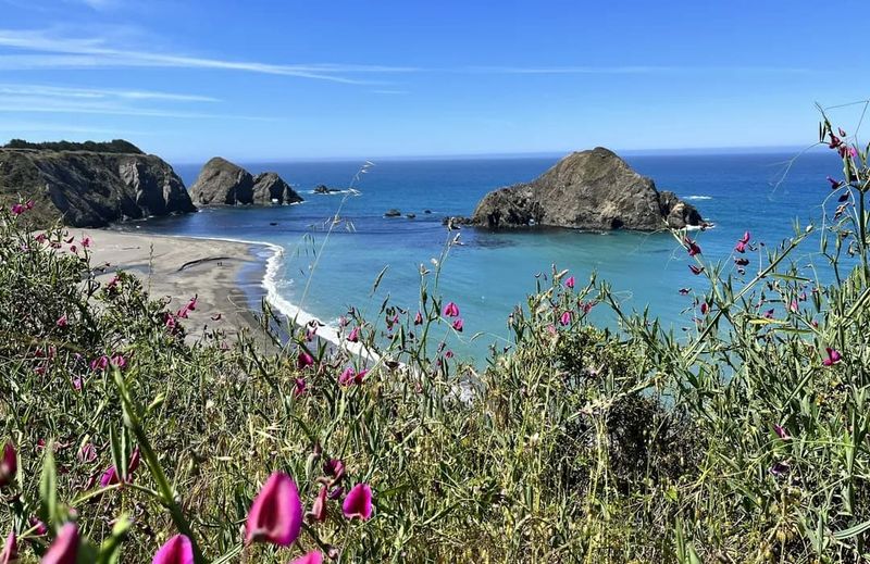 Unwind at Greenwood State Beach After Your Culinary Adventures