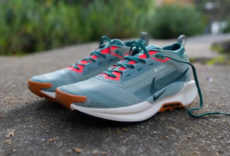 Nike Pegasus Trail 5 GTX