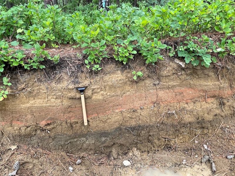Shocking Discovery in Moore County