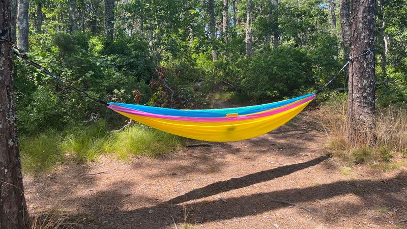 Bear Butt Double Hammock