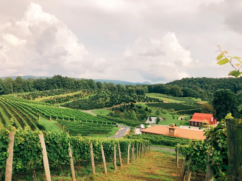 Wineries & Relaxing Outdoor Seating