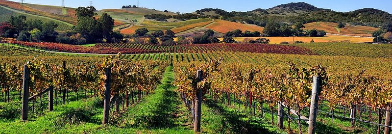 Napa Valley, California