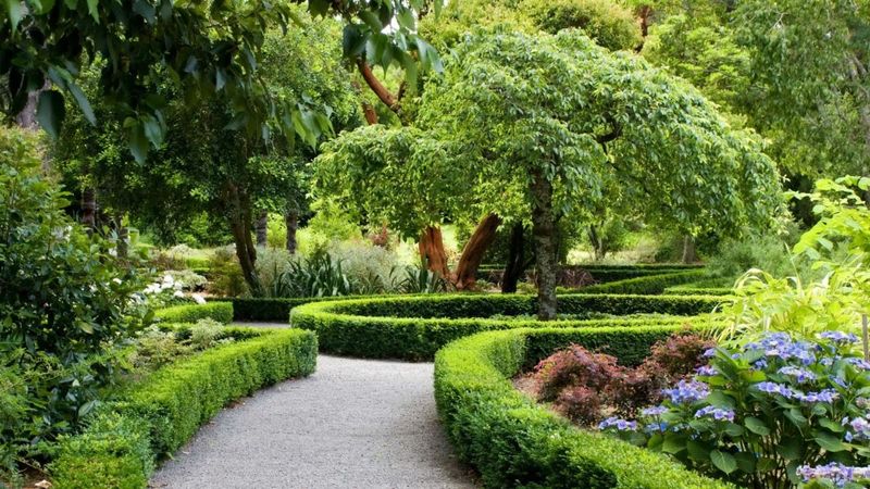 Manhattan Beach Botanical Garden (Polliwog Park, Manhattan Beach)