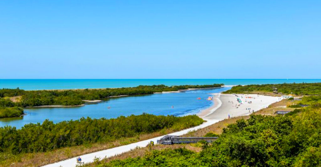 Shelling Season: 10 Beaches That Explode With Treasures at Low Tide