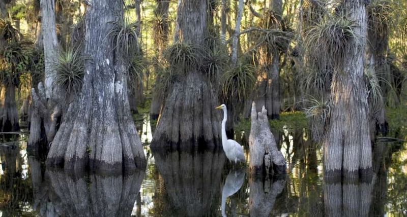 Gateway to the Everglades