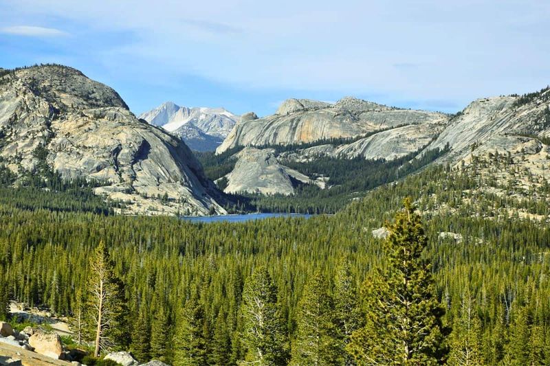 Tioga Road - Yosemite's High Country
