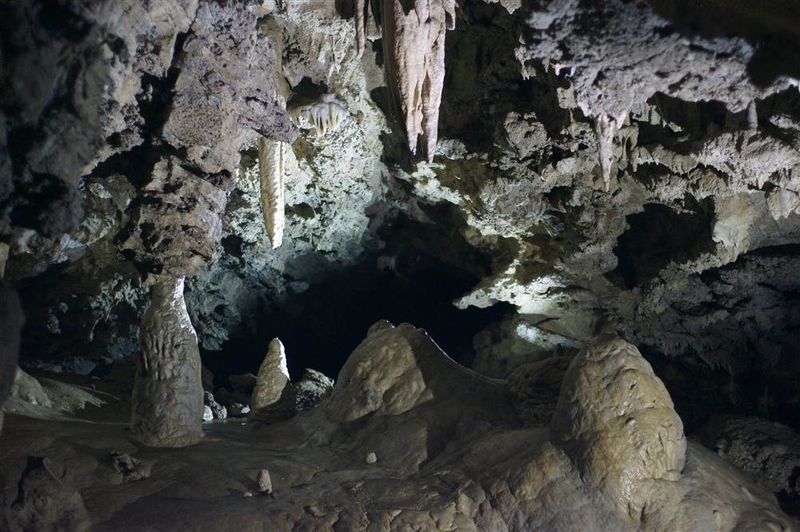 The Oregon Caves National Monument Forest