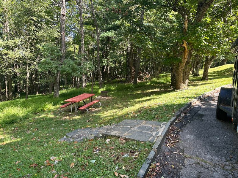 Rocky Knob Picnic Area (MP 169, VA)