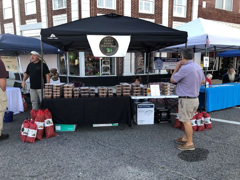 Nutty Delights at North Carolina Pecan Harvest Festival
