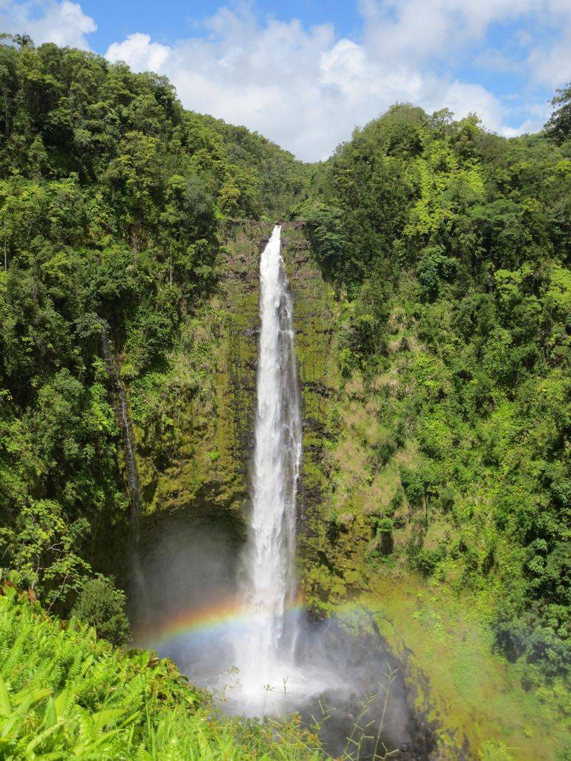 Akaka Falls – Hawaii (Big Island)