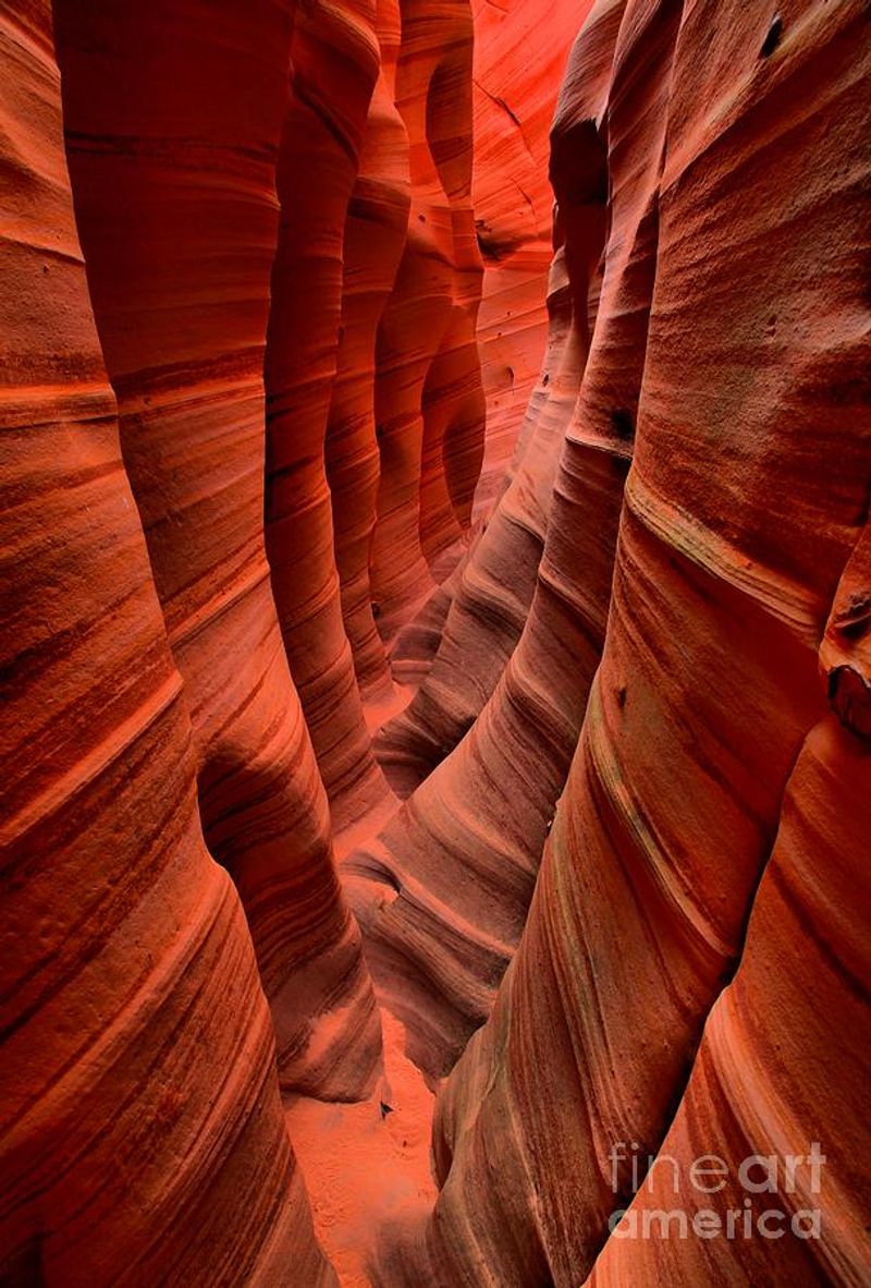 Zebra Slot Canyon — Grand Staircase–Escalante, Utah