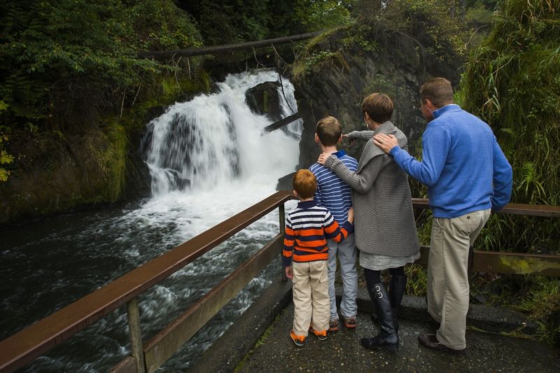 Tumwater Falls Loop — Brewery Park at Tumwater Falls, Washington (≈0.5-mile loop, paved/packed)