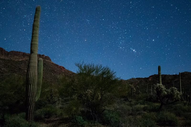Dark skies and starry nights