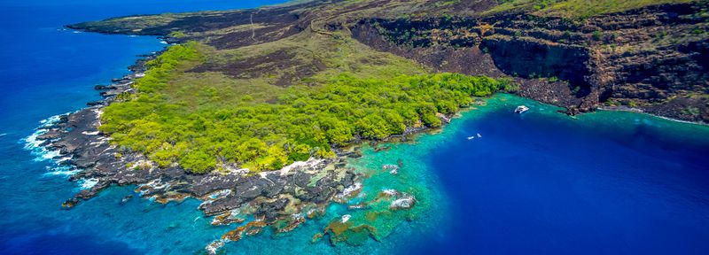Snorkel at Kealakekua Bay