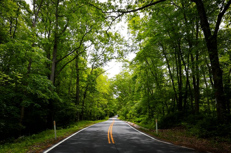 The Old Mine Road