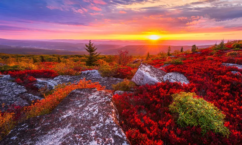 Bear Rocks — Dolly Sods, West Virginia