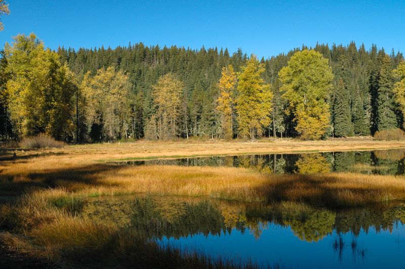 Santiam Pass & Lost Lake