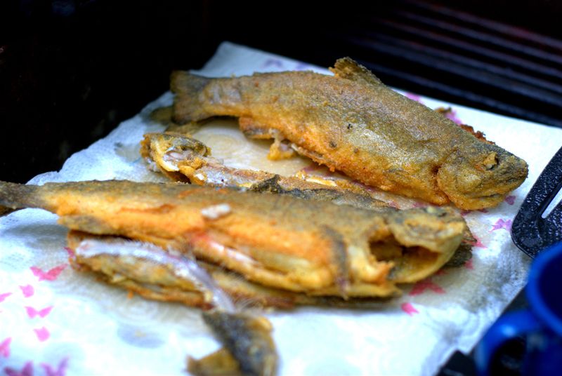 Fresh Local Trout from the Mountains