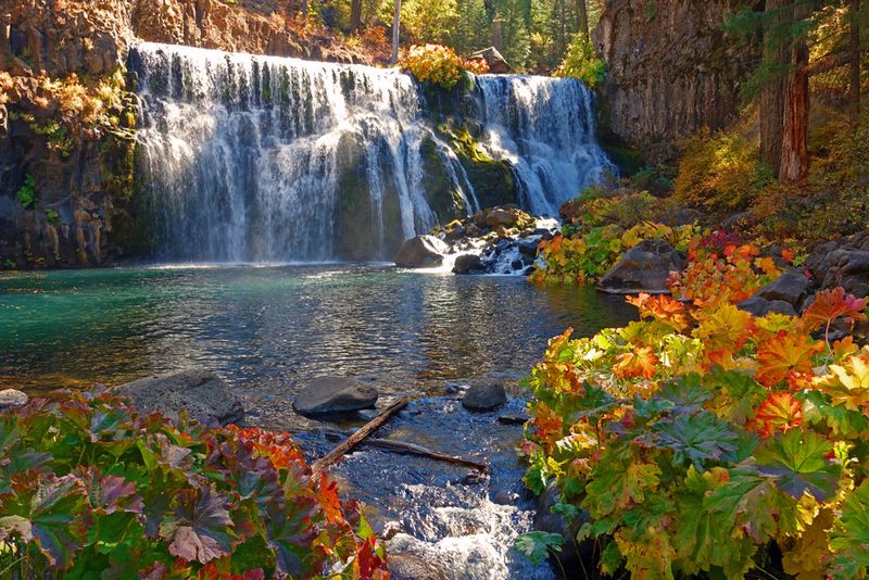 McCloud River's Three Falls — Shasta-Trinity National Forest (CA)