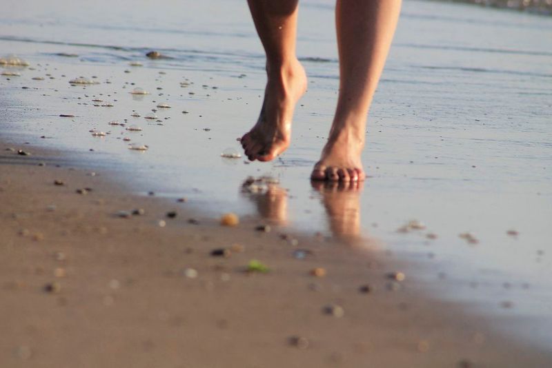 Barefoot Beach Preserve, Florida (near Naples)