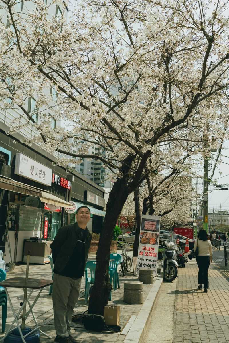 Spectacular Scenery in All Seasons