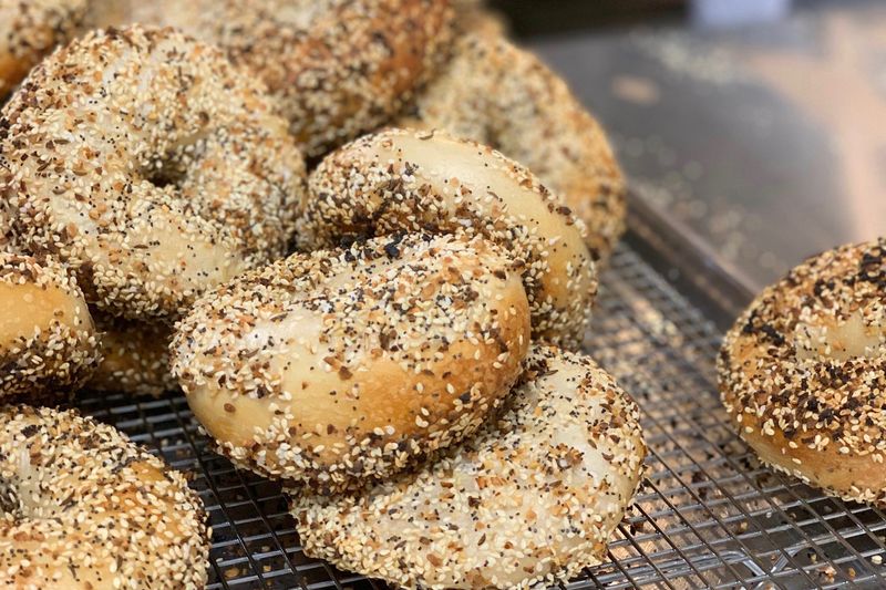 Pigeon Bagels (Pittsburgh — Squirrel Hill)