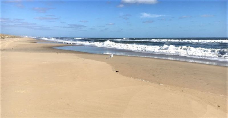 It's a Car-Free Coastal Wilderness