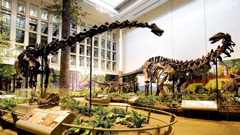 Carnegie Museums Offer Dinosaurs and Masterpieces Side by Side