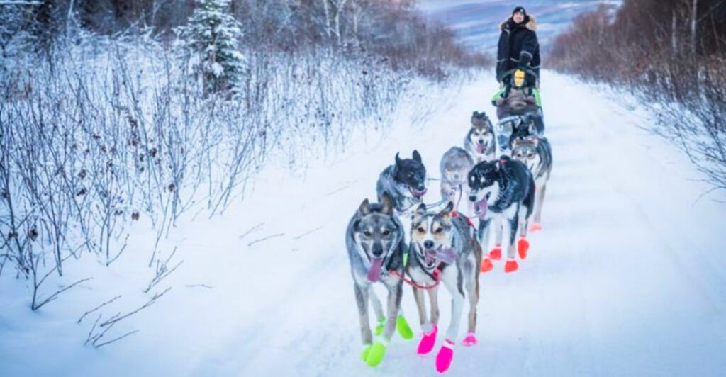 The Coldest Town in America That Warms Every Visitor’s Heart