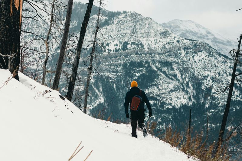 Staying Safe in the Wild