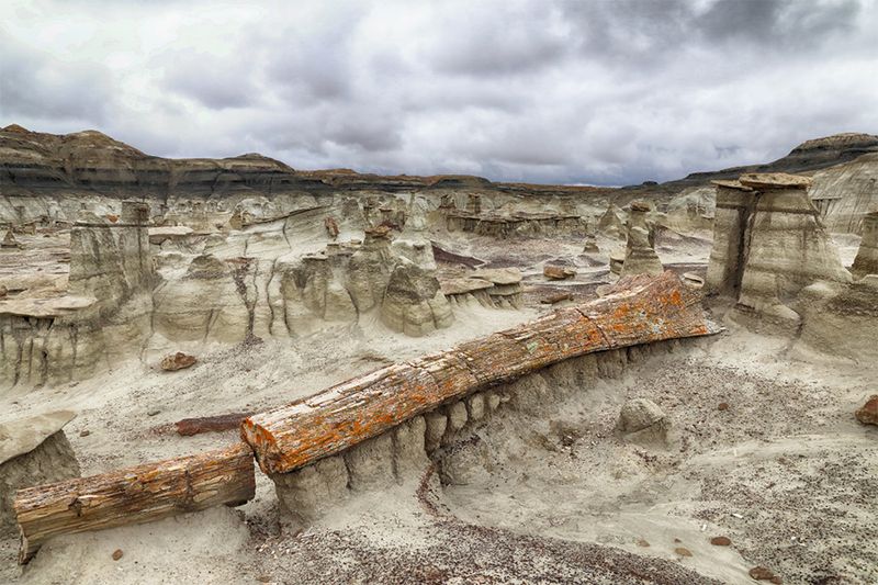 It Was Once a Prehistoric Swamp